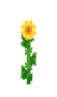 Zonnebloem