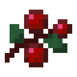 Солодкі ягоди image