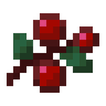 Sweet Berries image