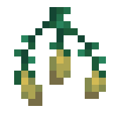 Насіння полум’яної квітки image