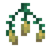 Torchflower Seeds image