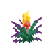 Fakkelblomst