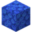 Tube Coral Block