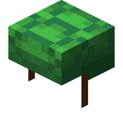 Панцир черепахи image