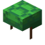 Turtle Shell