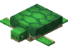 Turtle image