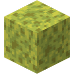 Wet Sponge