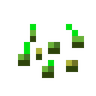 Wheat Seeds image