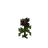 Rose de Wither