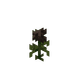 Witherrose