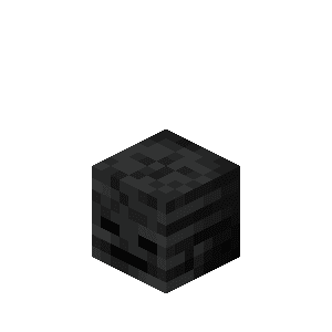 Wither Skeleton Skull