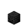 Wither Skeleton Skull image