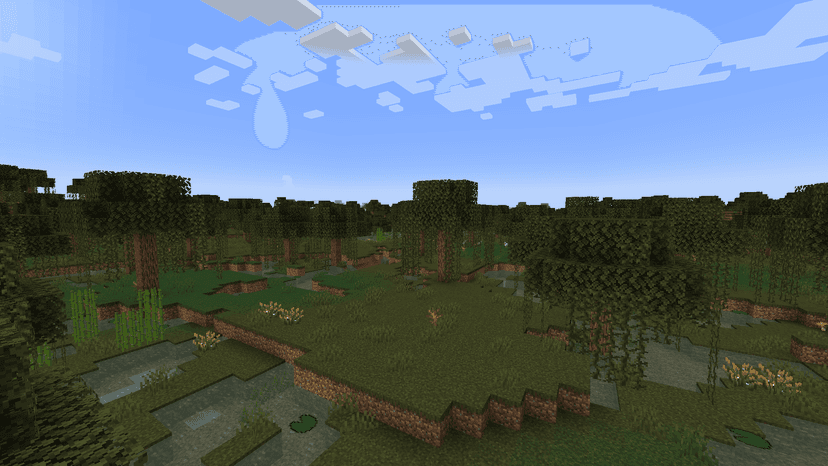 Swamp