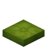 Green Cushion