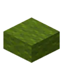 Green Wool Slab