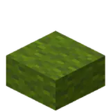 Green Wool Slab