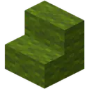 Green Wool Stairs
