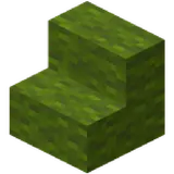 Green Wool Stairs