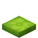 Lime Cushion