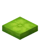 Lime Cushion