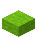 Lime Wool Slab