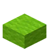 Lime Wool Slab