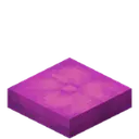 Magenta Cushion