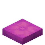 Magenta Cushion