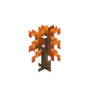 Poplar Sapling