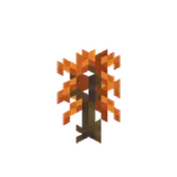 Poplar Sapling