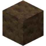Poplar Wood