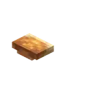 Shelf Mushroom