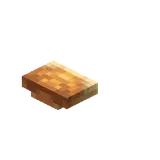 Shelf Mushroom