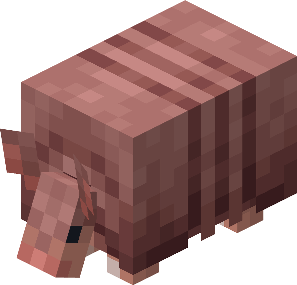 Armadillo image