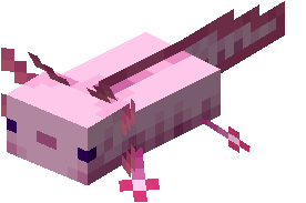Axolotl image