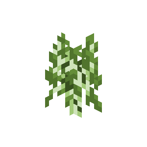 Birch Sapling image