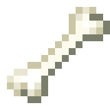 Bone image
