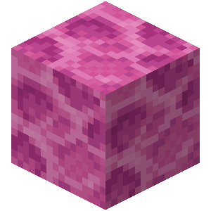 Brain Coral Block image
