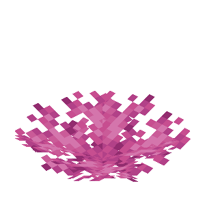 Brain Coral Fan image