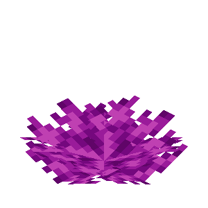 Bubble Coral Fan image