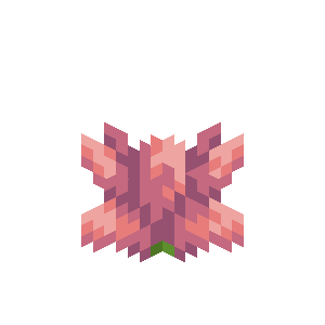 Cactus Flower image