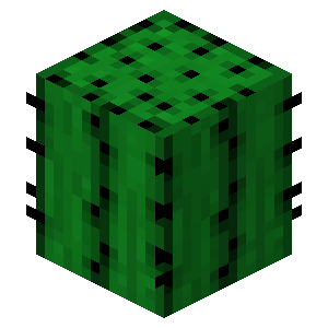 Cactus image