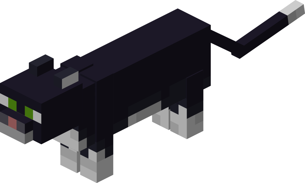 Cat image