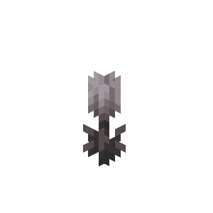 Closed Eyeblossom image