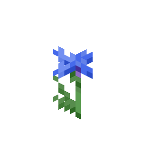 Cornflower image