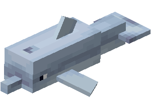 Dolphin image