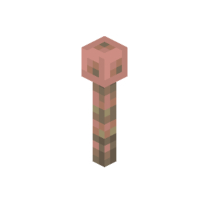 Exposed Lightning Rod image