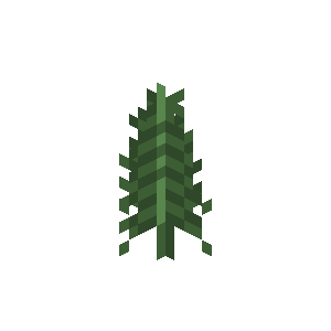 Fern image