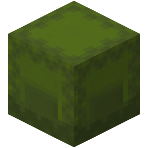 Green Shulker Box image