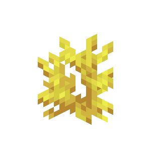 Horn Coral image